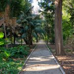 Jardín botánico Valencia