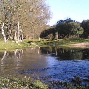 Viaje a Sierra de San Vicente